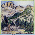 The Silver Divide
