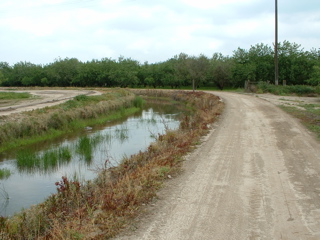 john muir walk