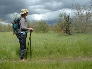 john muir walk